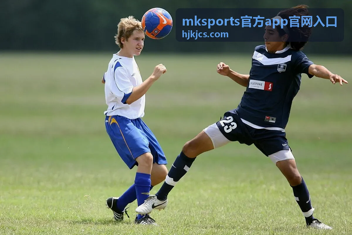 mksports官方app官网入口 正规入口识别方式