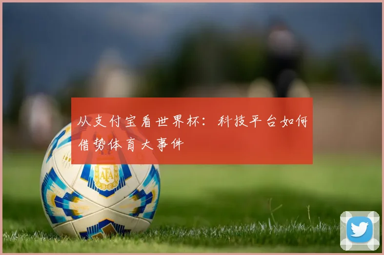 从支付宝看世界杯：科技平台如何借势体育大事件