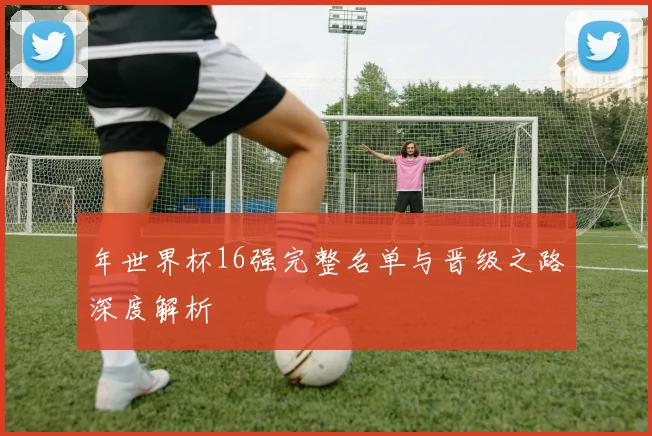 年世界杯16强完整名单与晋级之路深度解析