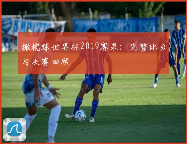 橄榄球世界杯2019赛果：完整比分与决赛回顾