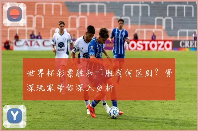 世界杯彩票胜和-1胜有何区别?资深玩家带你深入分析