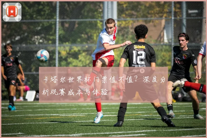 卡塔尔世界杯门票值不值?深度分析观赛成本与体验