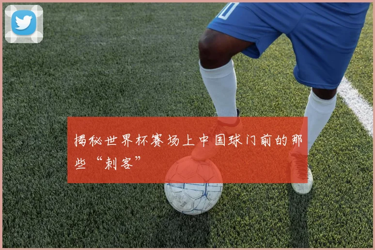 揭秘世界杯赛场上中国球门前的那些“刺客”